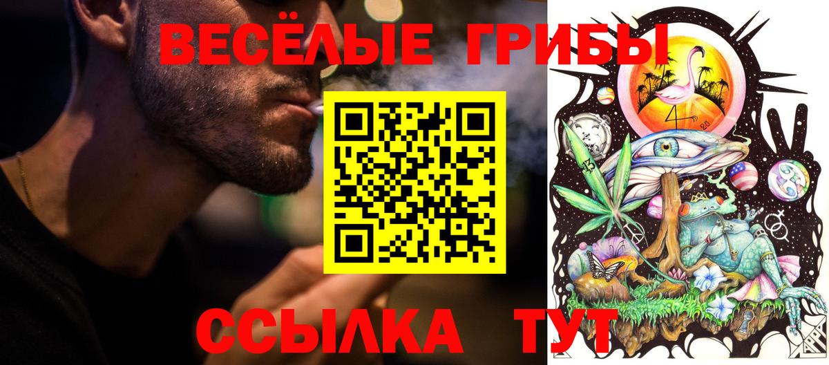 Псилоцибиновые грибы мухоморы Луховицы