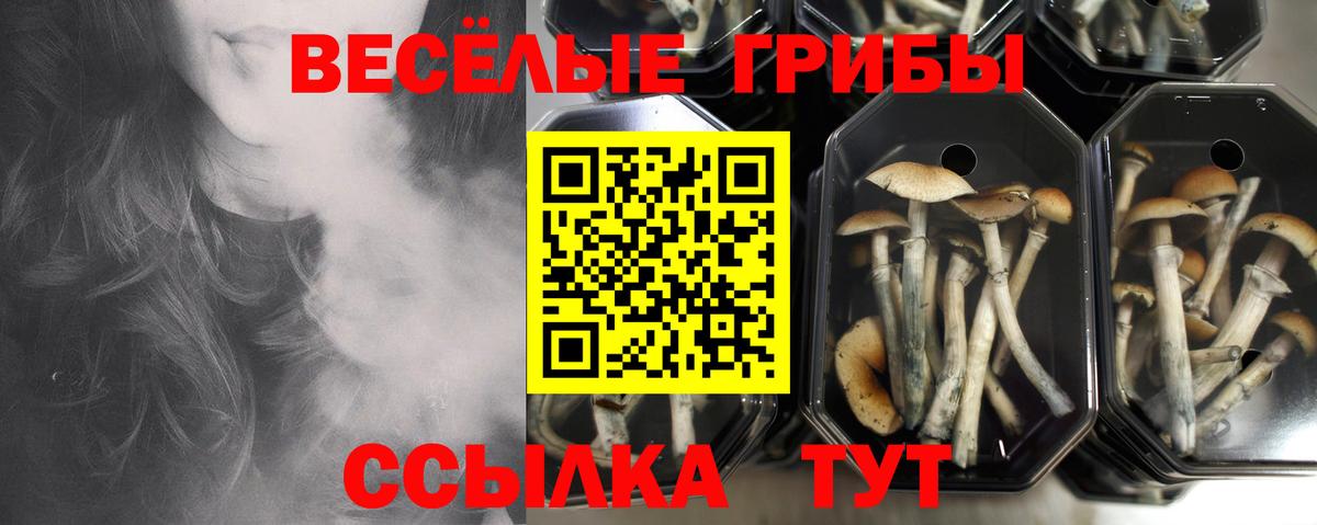 Луховицы  Галлюциногенные грибы мухоморы  Галлюциногенные грибы мицелий  Вход с VPN 